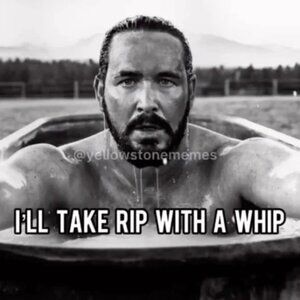 Meet your Posher, Tabby!